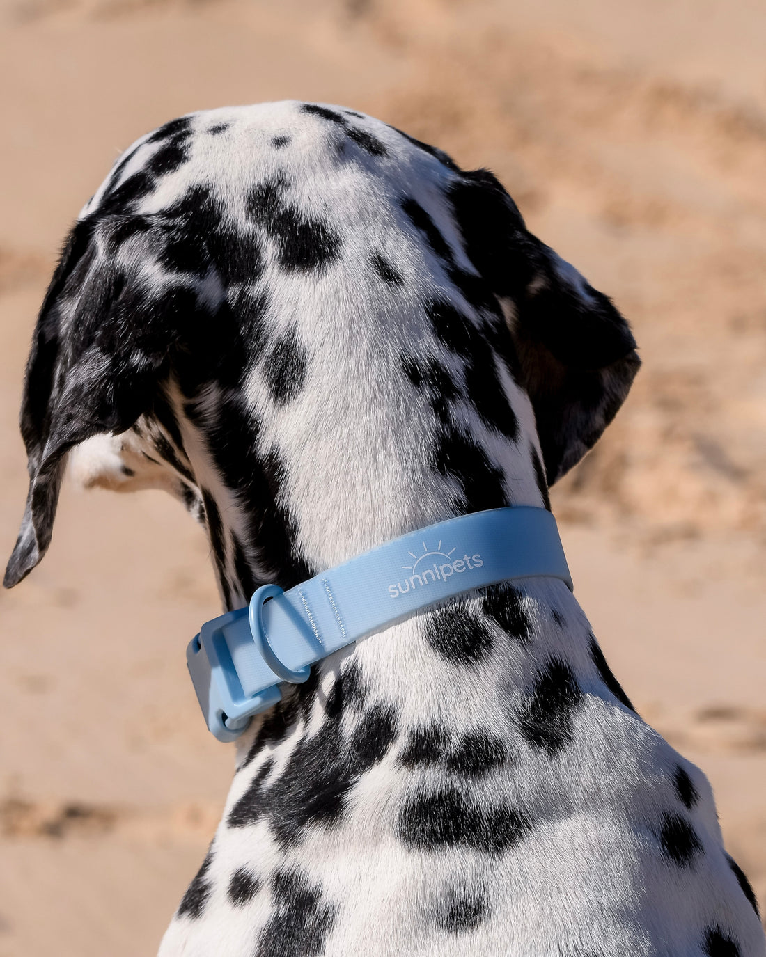 Materials-Matter-Waterproof-Dog-Collars-May-Be-The-Obvious-Choice. Sunnipets