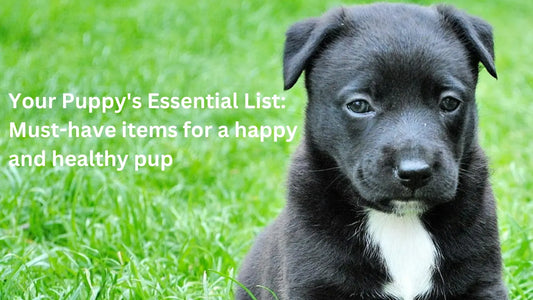 Your-Puppy-s-Essential-List-Must-Have-Items-for-a-Happy-and-Healthy-Pup Sunnipets