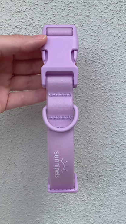 Waterproof Collar - LILAC