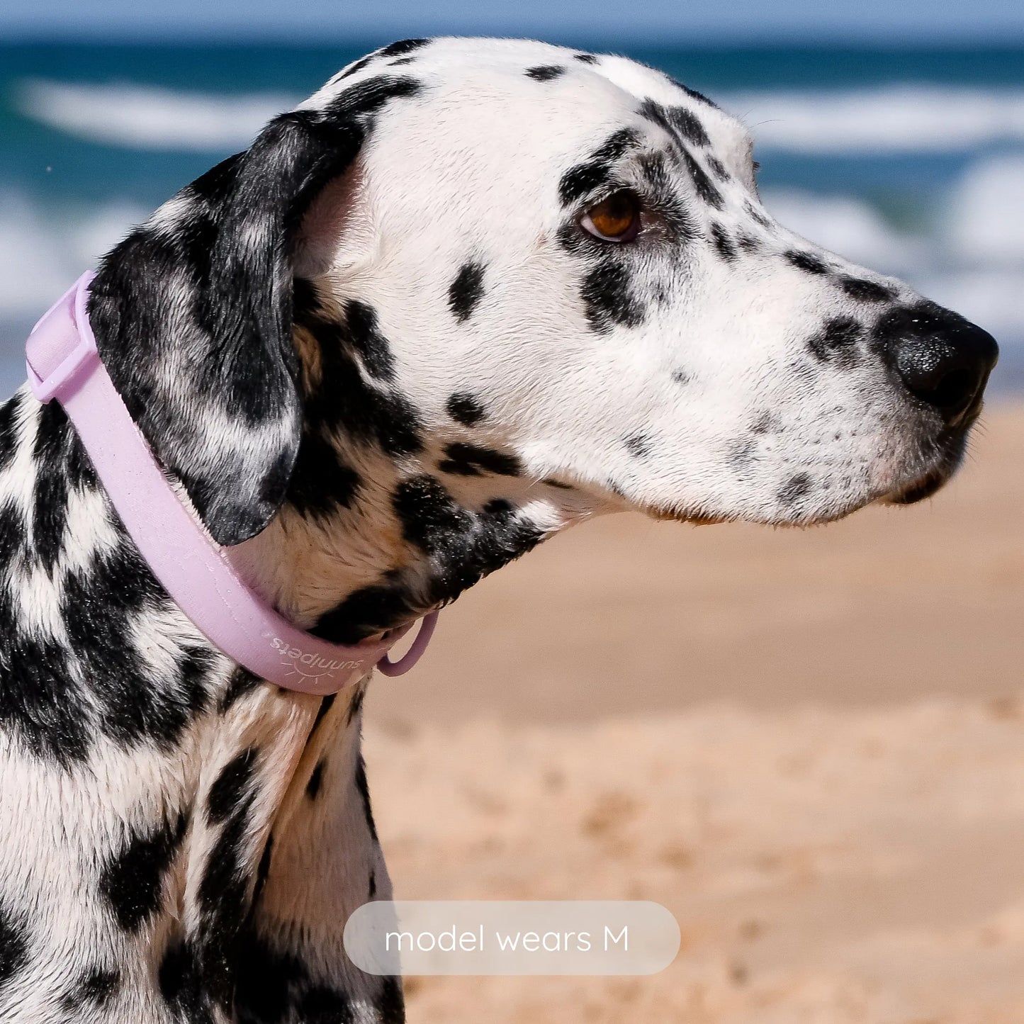 Waterproof Collar - LILAC sunnipets